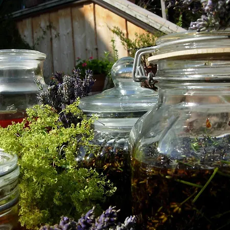 Baernsteinhof - Mit Herz 4* ايغن ام مهلكريس