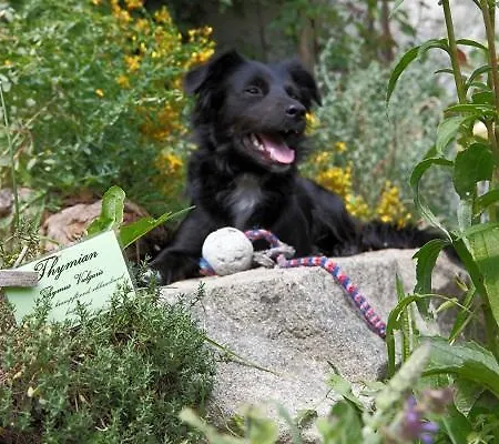 Baernsteinhof - Mit Herz فندق ايغن ام مهلكريس