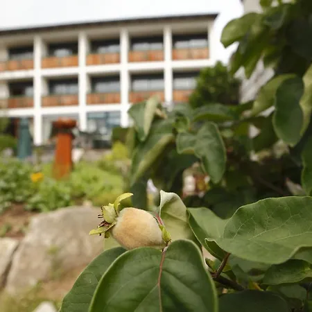 Baernsteinhof - Mit Herz فندق