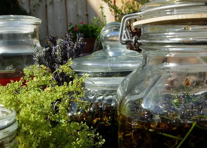 Baernsteinhof - Mit Herz 4* Aigen im Mühlkreis