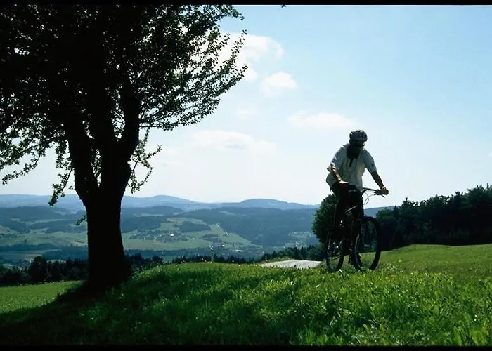 Baernsteinhof - Mit Herz Ξενοδοχείο Aigen im Mühlkreis