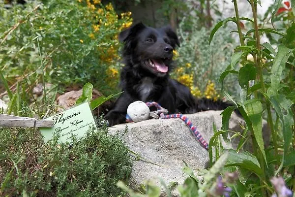 Baernsteinhof - Mit Herz Ξενοδοχείο Aigen im Mühlkreis