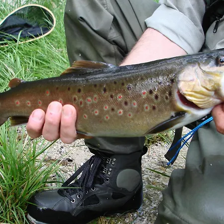 Baernsteinhof - Mit Herz