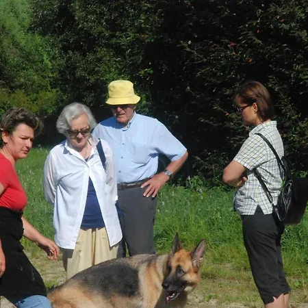 Hotel Baernsteinhof - Mit Herz 4*