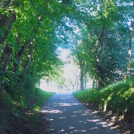 Baernsteinhof - Mit Herz 4*