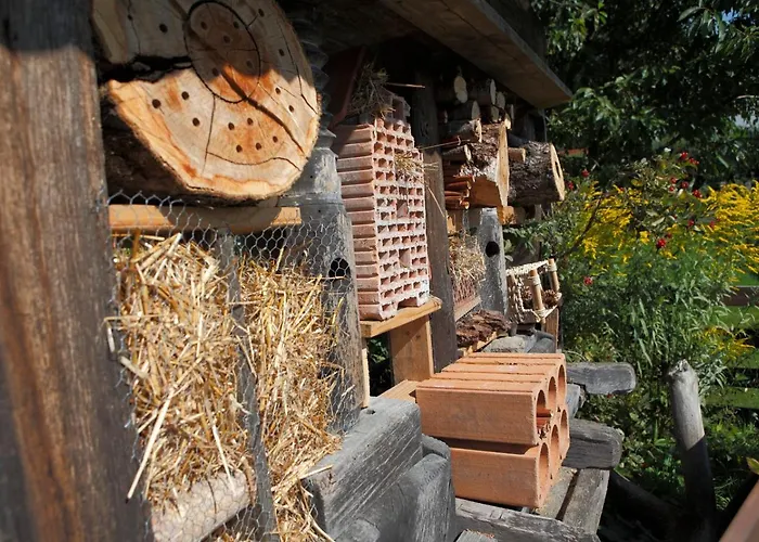 Baernsteinhof - Mit Herz Aigen im Mühlkreis