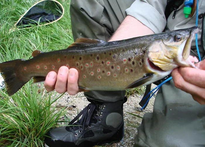 Baernsteinhof - Mit Herz