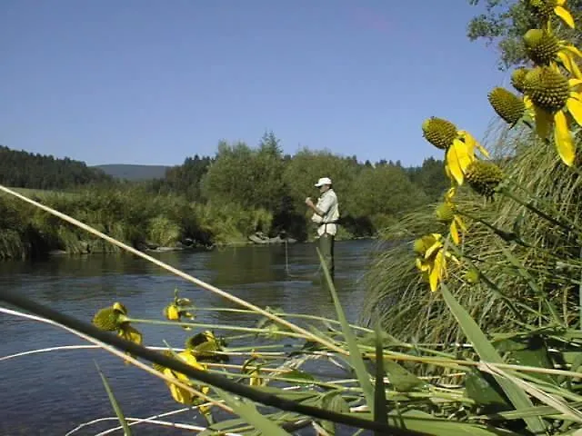 Baernsteinhof - Mit Herz Hotel Aigen im Mühlkreis