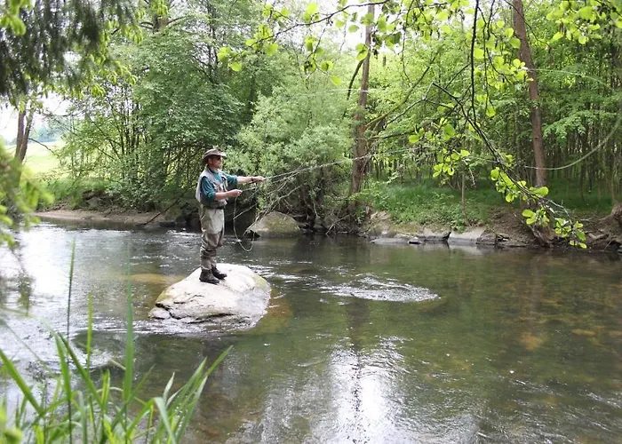 Hotel Baernsteinhof - Mit Herz Aigen im Mühlkreis