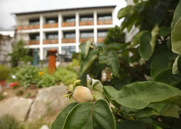 Baernsteinhof - Mit Herz Hotel